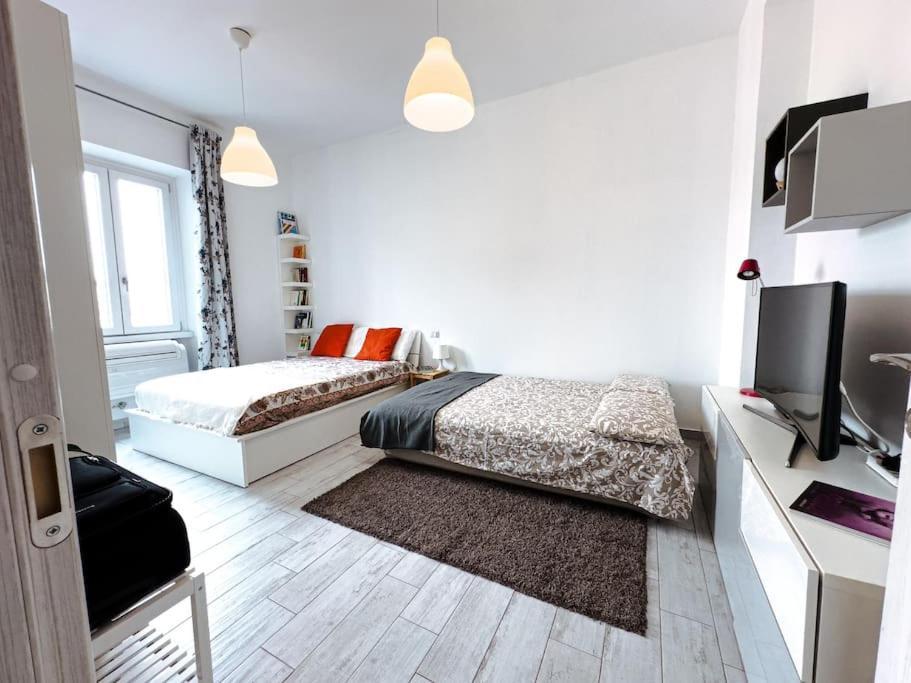 Cozy Alberone Flat Apartment